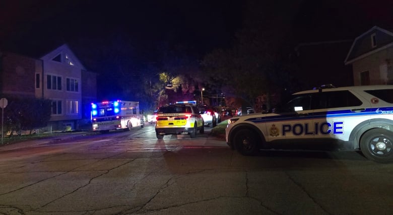 Police and paramedic vehicles on a residential city street at night.