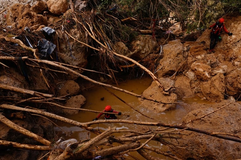 A worker with a helmet is shown in a heavily wooded area, trying to navigate a body of muddy water.