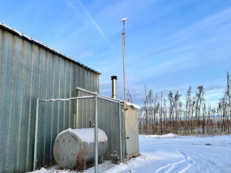 A Starlink dish sits on a log pole beside a shed,