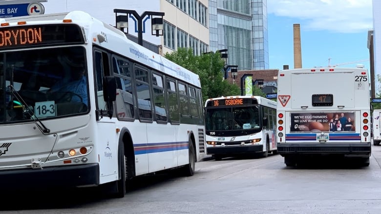 Transit buses on a street.