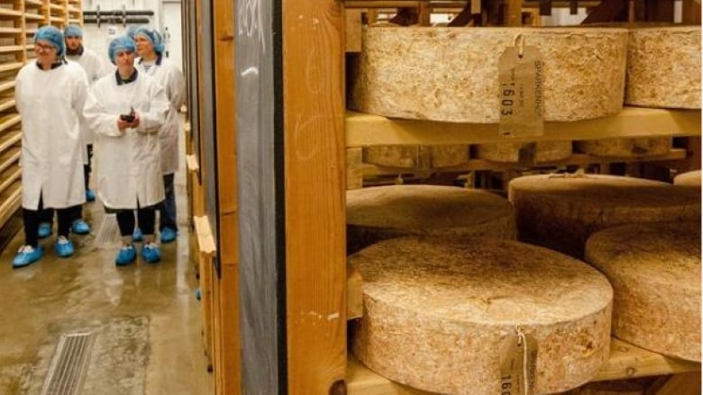 Inspectors walk by wheels of cheese