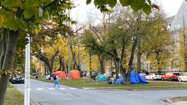 Orange and blue tarps are seen over four tents in the grassy median of a roadway, near trees with green and yelllow autumn colours