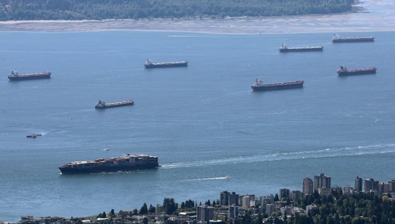 A container ship moves past seven anchored ships. This is taken from an aerial perspective. 