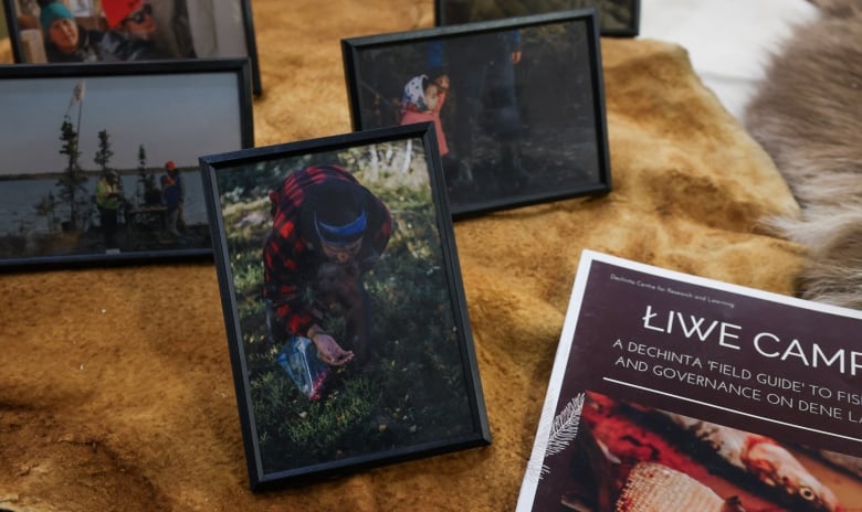 Picture frames on a table show participants doing land based work