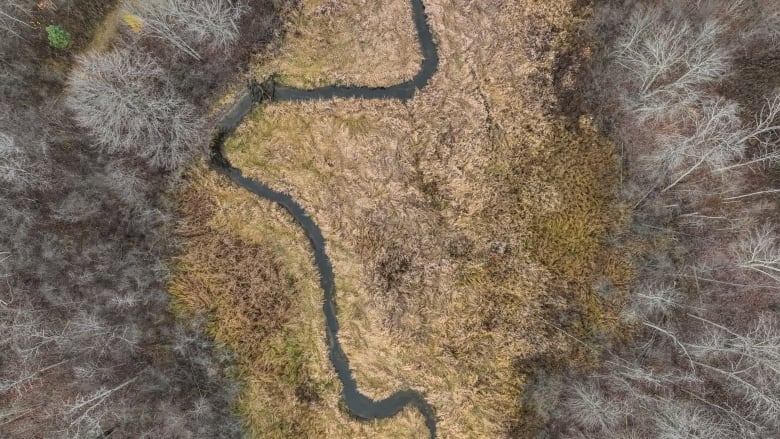 A creek in a rural wetland in autumn.