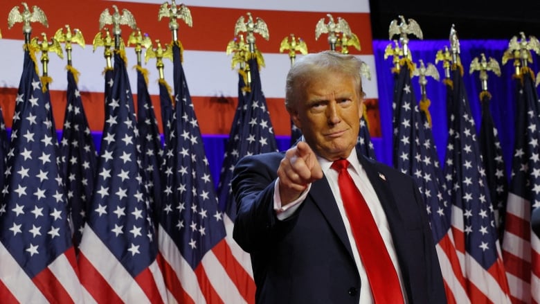 Donald Trump stands in front of a line of American flags, pointing to the crowd of supporters who aren't pictured.