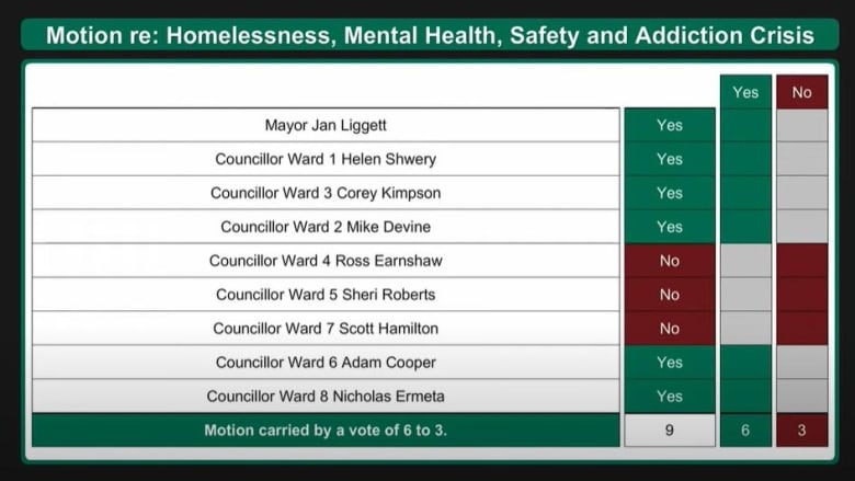 How councillors voted