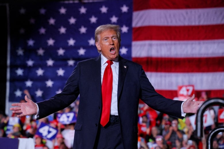 Donald Trump, now the U.S. president-elect, is seen at a campaign rally.