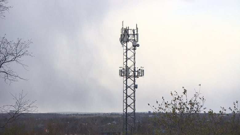 Cell tower in field