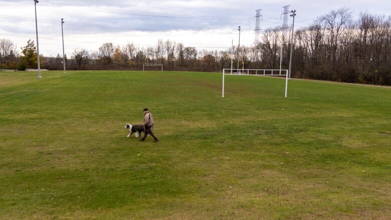 Someone walks their dog across a grass football field in autumn.