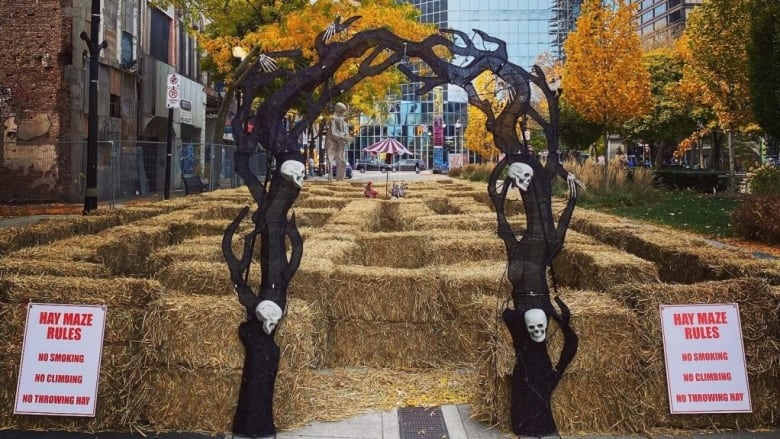 A hay bale maze with a spooky entrance. A fenced off building can be seen at the back left.