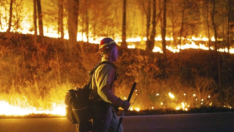 Firefighter walks past burning brush in a forest