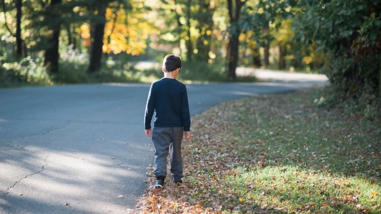 A boy walks alongside a rural  street, amid the leaves