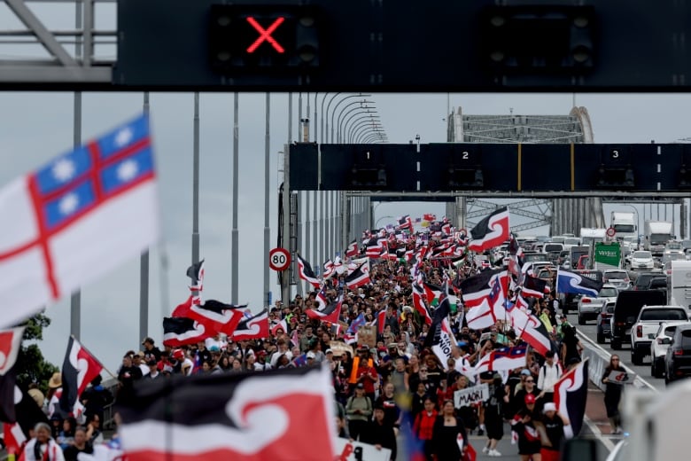 A photo from a distance shows a mass of people marching on a bridge. One side of the bridge is filled with people, some carrying large flags, while on the other side of the bridge it is filled with vehicles.