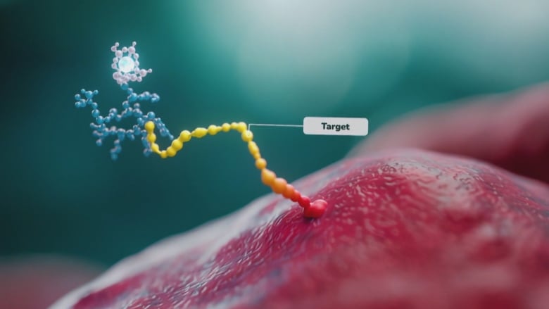 A still image depicting a radiopharmaceutical attached to a cancer call. 