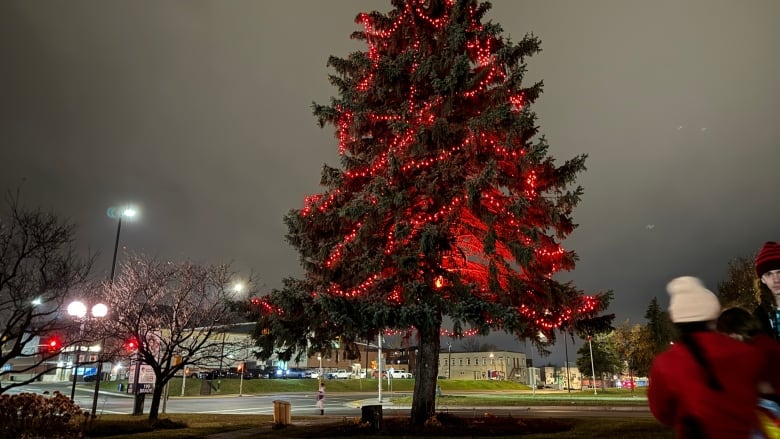 A tree with orange lights