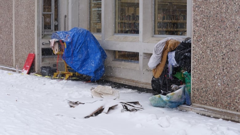 Shopping carts with people's belonging's in the snow.