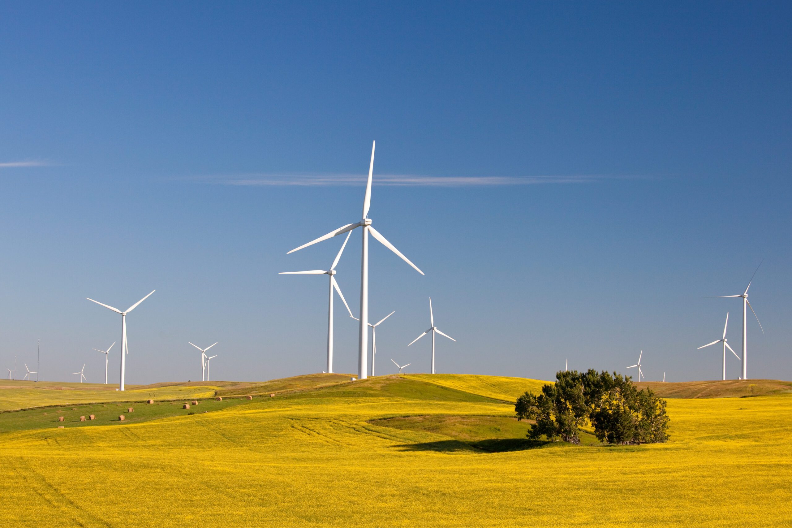 Alberta Renewable Energy Investment Hits Record $4.8 Billion in 2025