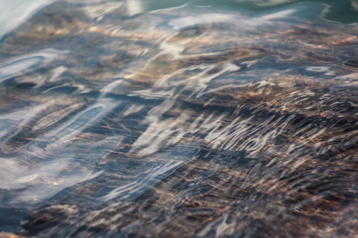 Alberta's Population Tops 5 Million for First Time in History