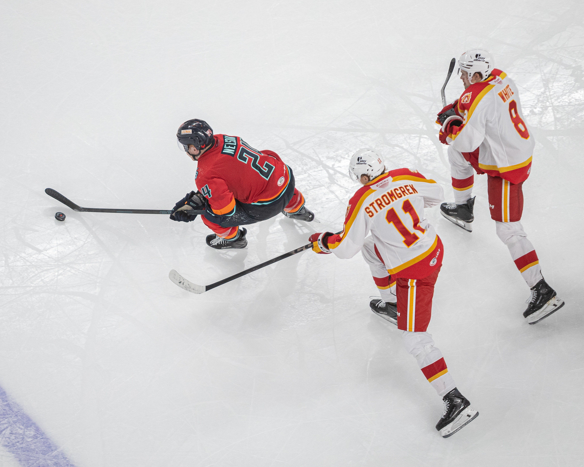 Calgary Wranglers Face Coachella Valley in Final California Road Game