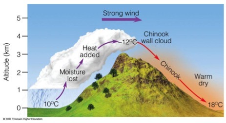 Chinook Winds Bring Record March Temperatures to Calgary as Spring Arrives Early